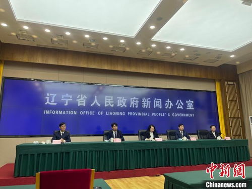 遼寧擘畫縣域經濟新藍圖 2025年綜合實力與發展活力躍升，經濟信息咨詢賦能關鍵路徑