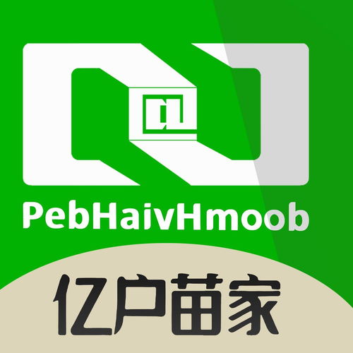 云南億戶苗家信息技術有限公司 深耕經濟信息咨詢，助力區域發展